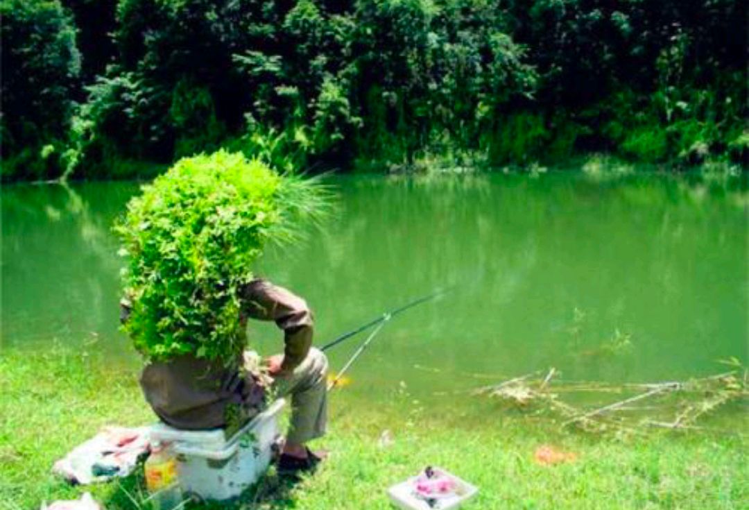 春季持续高温鱼不开口,天气太热鱼不开口有什么好的方法