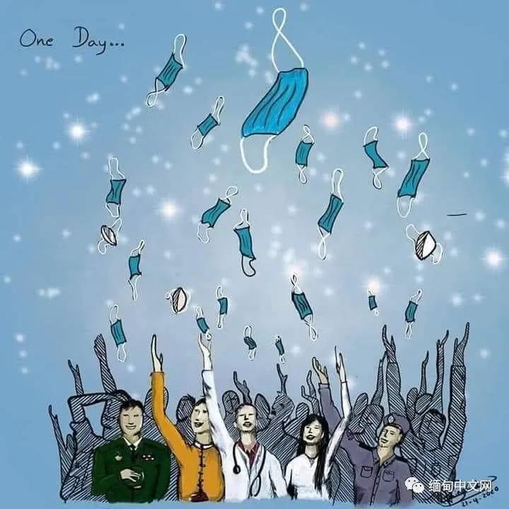 紫檀花开独一无二,紫檀花开了视频