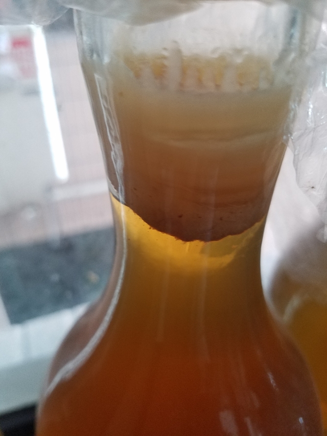 传说中的妈妈,揭秘酵素妈妈