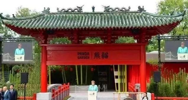 外国人为什么这么喜欢大熊猫呢,外国人究竟有多爱大熊猫