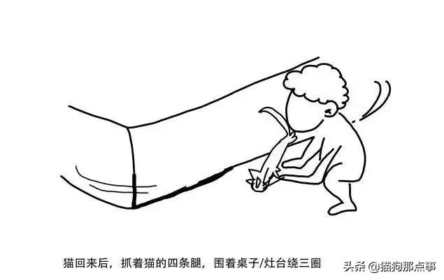 寻猫大法剪刀大法,寻猫剪刀大法怎么使用