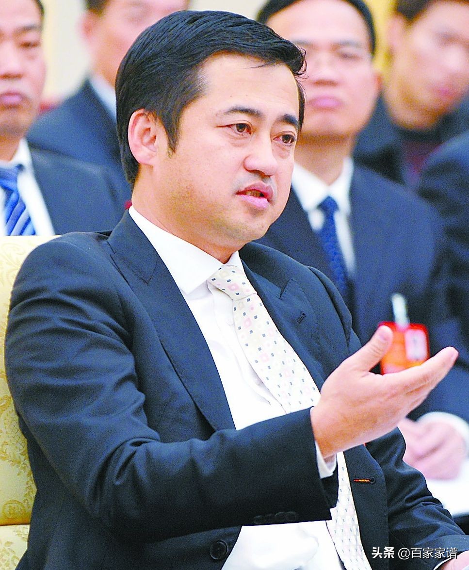 山东首富丁氏家族,潮汕丁氏首富