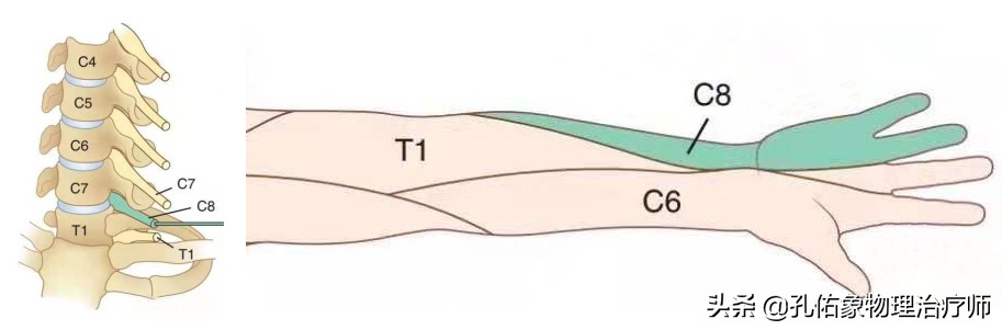 左手麻肩胛骨疼痛是怎么回事,手麻肩胛骨痛