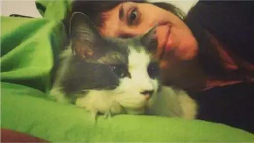 养猫必须做的5件事,老手养猫才知道的六件事