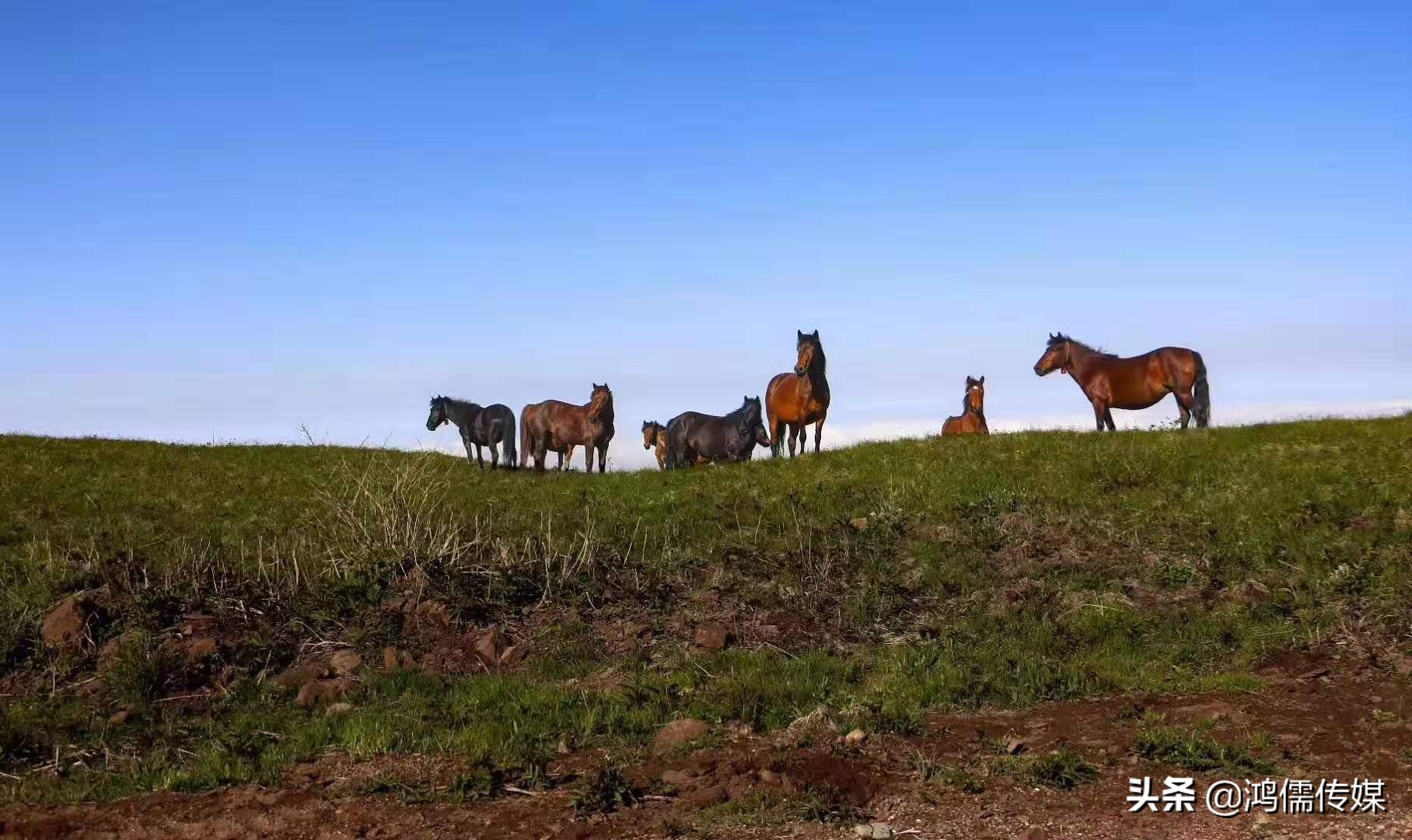 陇头水诗词,陇头水二首古诗