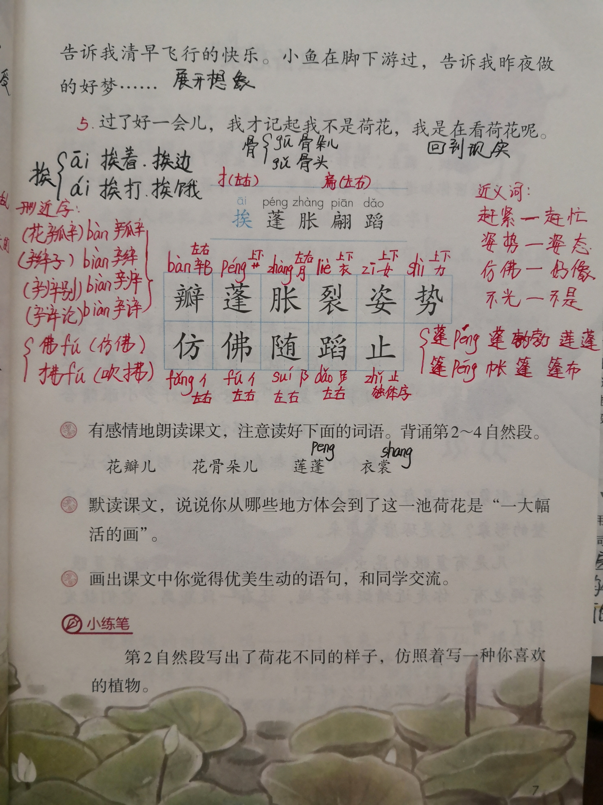 三年级下册语文荷花预习笔记,星凝老师