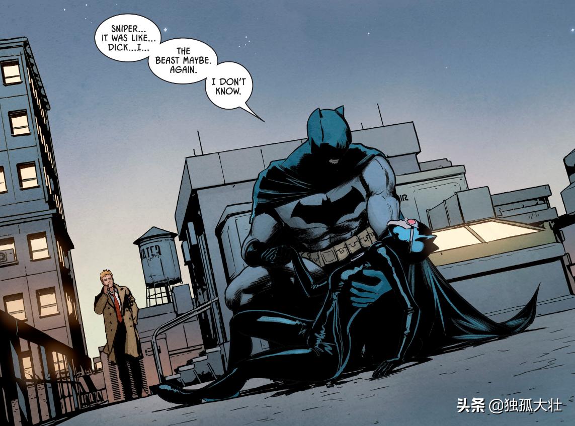 猫女为什么不跟蝙蝠侠在一起,蝙蝠侠回归了还带猫女