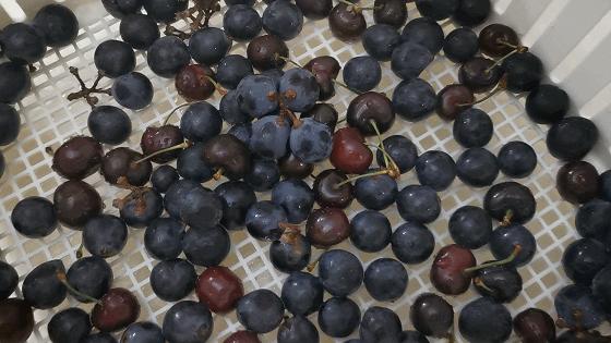 鏂瑰おx1s娴嬭瘎,鏂瑰おx1s浣撻獙