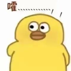 这次不是“吓尿”了,是“膀胱掉了!”