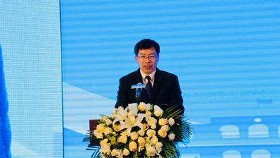 中国广西自由贸易试验区崇左片区,广西自由贸易试验区优惠政策