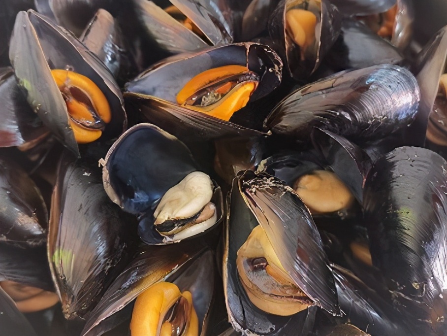 海虹为什么有红肉和白肉之分,海虹为什么有黄肉白肉