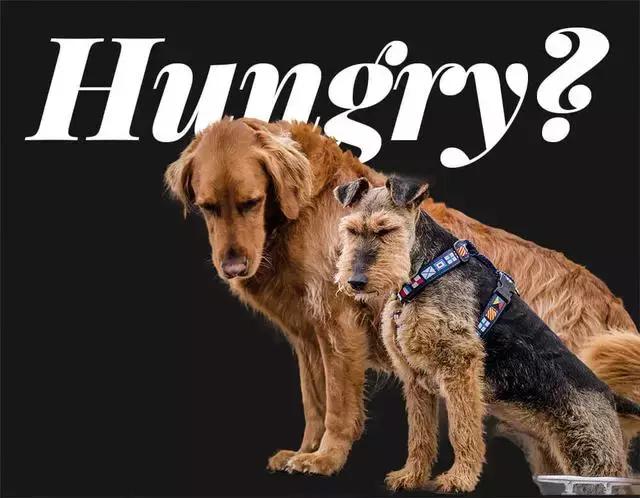 ps转换点工具快捷键是什么,ps常用快捷键大全帮助快速学成