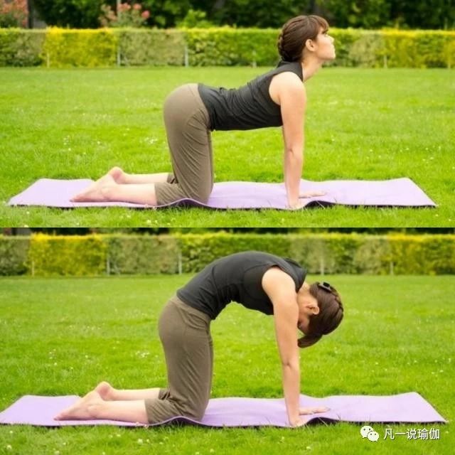 15分钟零基础入门瑜伽跟练版视频,男子瑜伽入门课程从零开始学瑜伽
