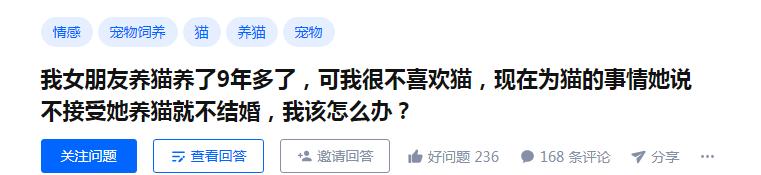 女朋友想养猫该怎么办,女朋友想养猫怎么办