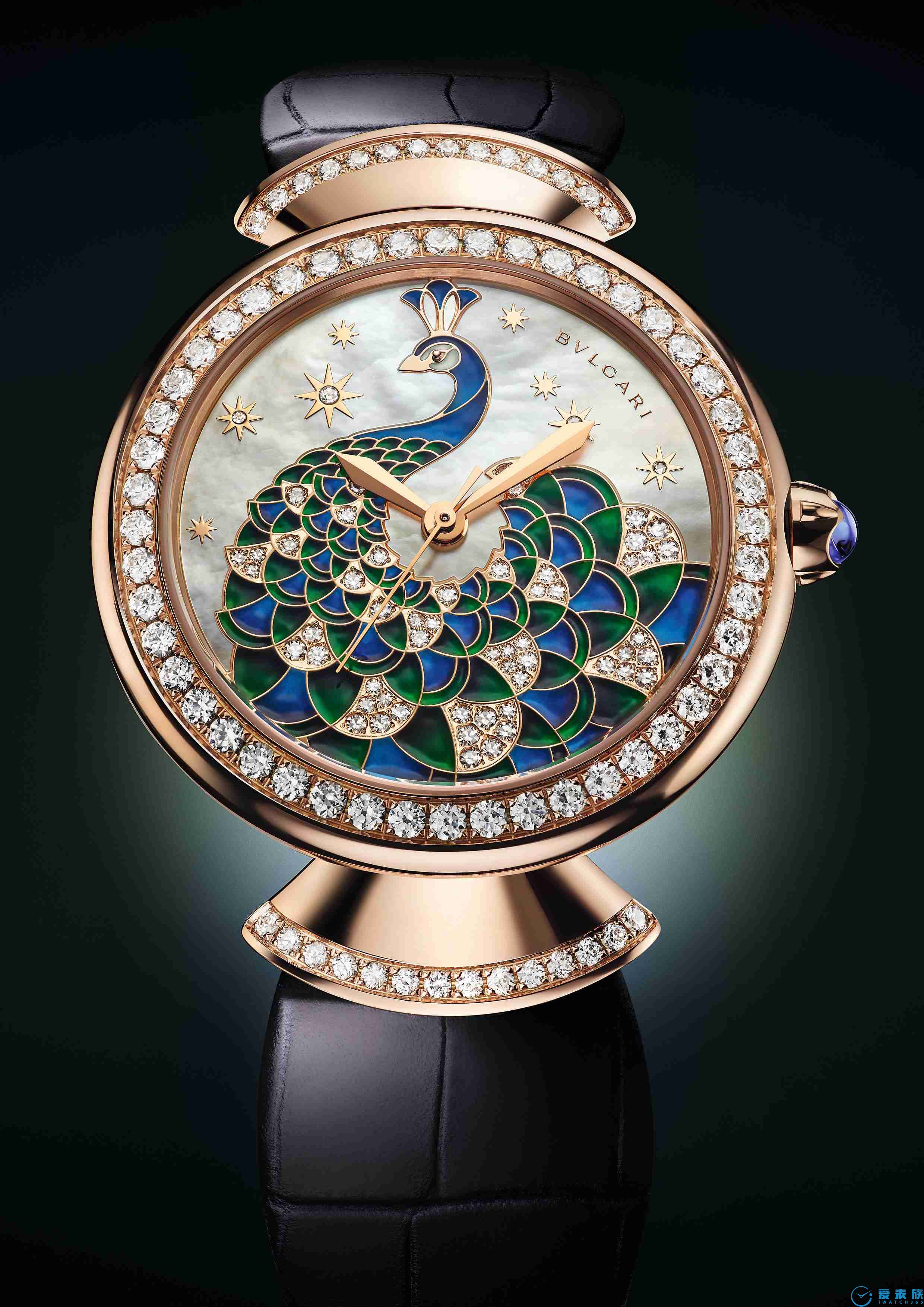 天生是主角，绽放雀之光彩BVLGARI宝格丽Divas’Dream系列腕表