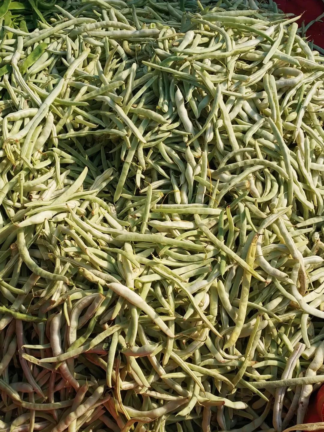 周边最便宜的大集在哪里,10元一两的大集