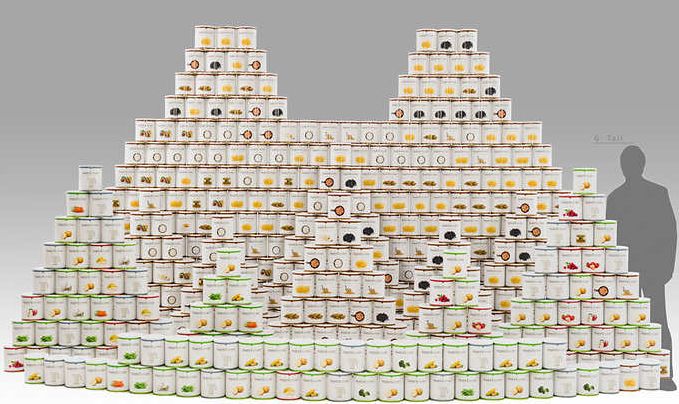 老外丧尸末日生存,老外看末日求生罐头