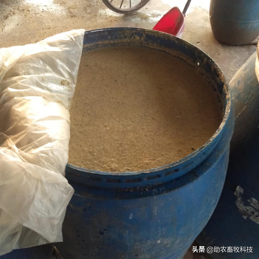 发酵中草药将成为防控非洲猪瘟的有力军，成本低效果肯定大量案例