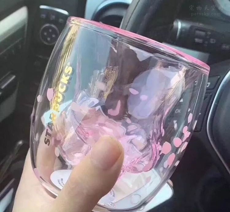 猫爪杯真的很贵吗,猫爪杯杯子价格