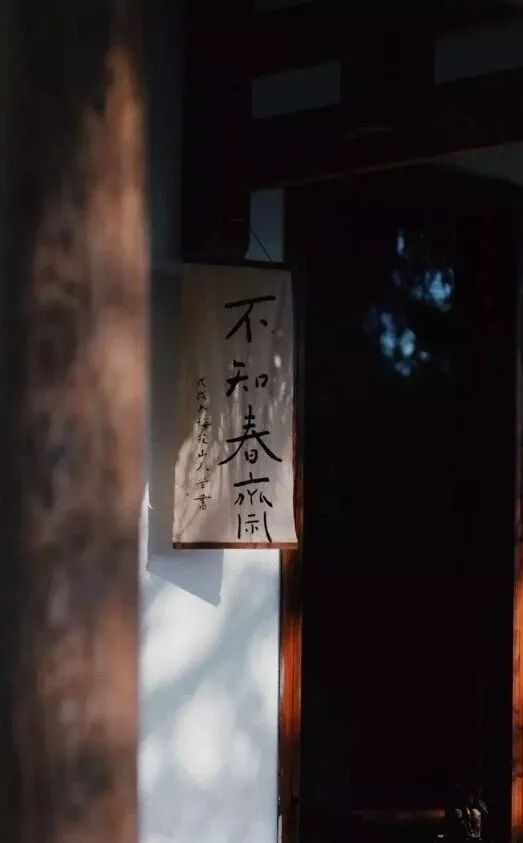 和舒服的人在一起就是养生,和舒服的人在一起就是养生的句子