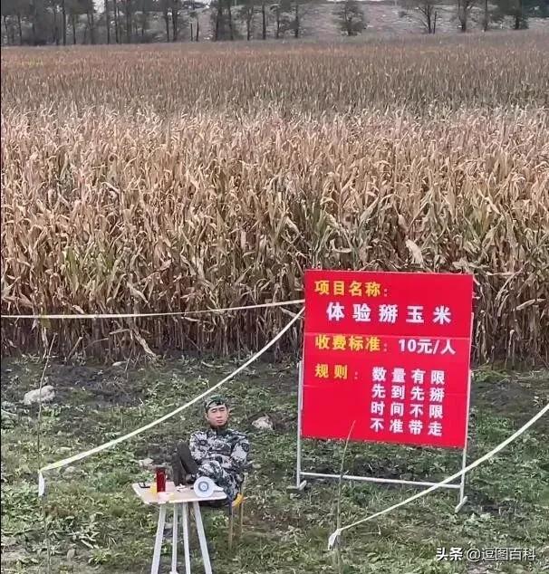 一脚踩进水坑系列,一脚踩进泥坑里那种感觉