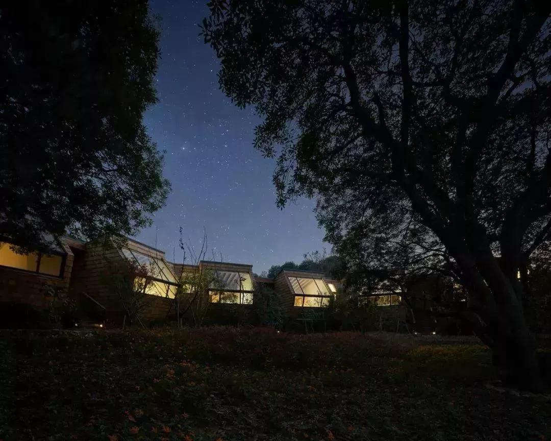 浪漫树屋、奇妙酒店、恒温水乐园...去江浙沪Top酒店跨个30℃的年