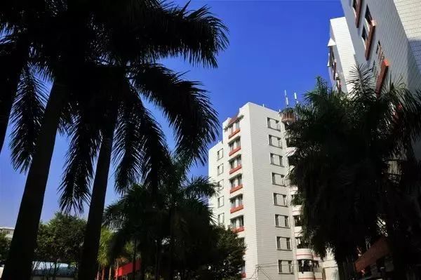 广东南华工商职业学院高职分数线,广东南华工商职业学院2024招生