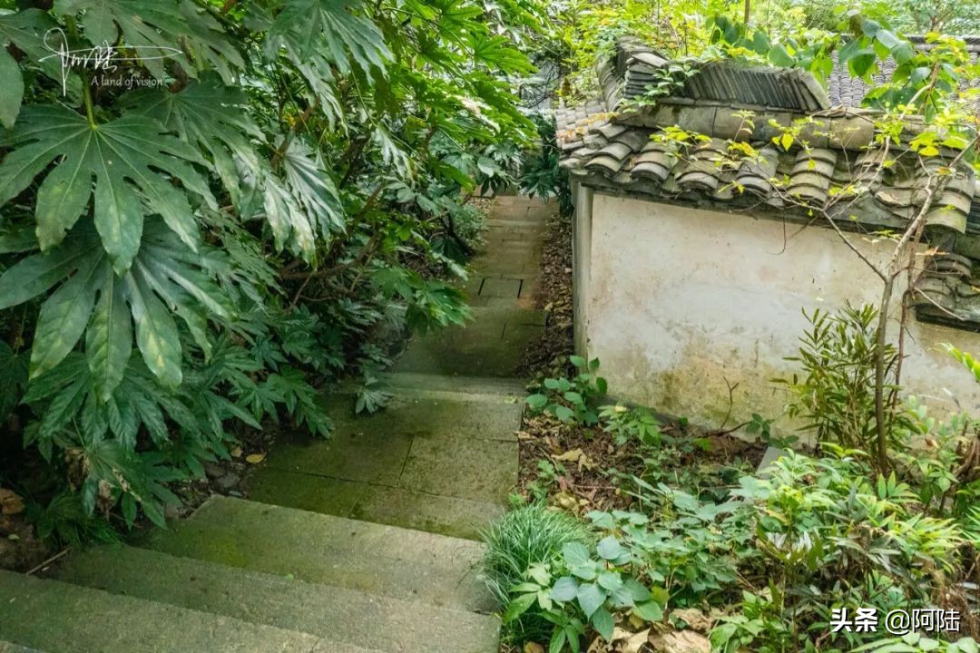 杭州第一街河坊街,杭州河坊街最繁华