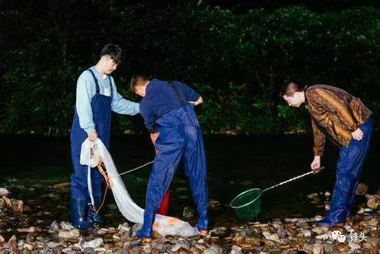 开启厨房美食探索之旅,野生厨房中最野的美食