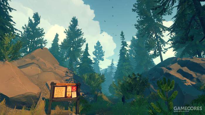 落基山脉森林,落基山森林