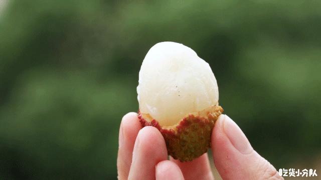 夹心荔枝冰，妈妈不让多吃