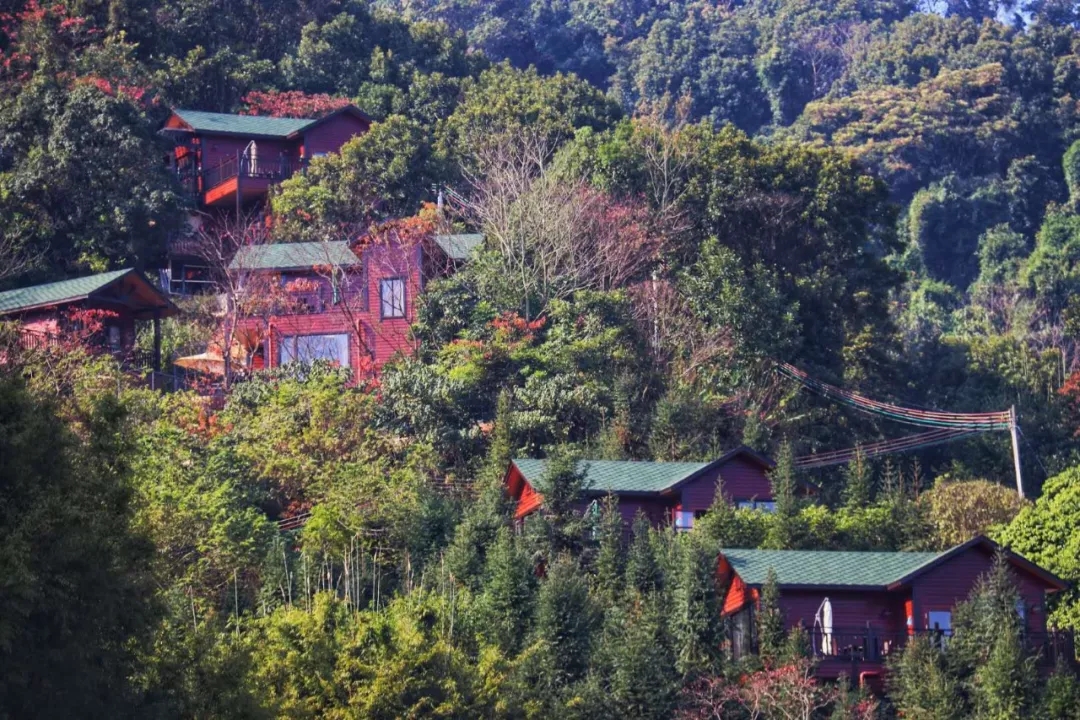 藏在山谷里温泉民宿,清远树屋温泉度假村攻略