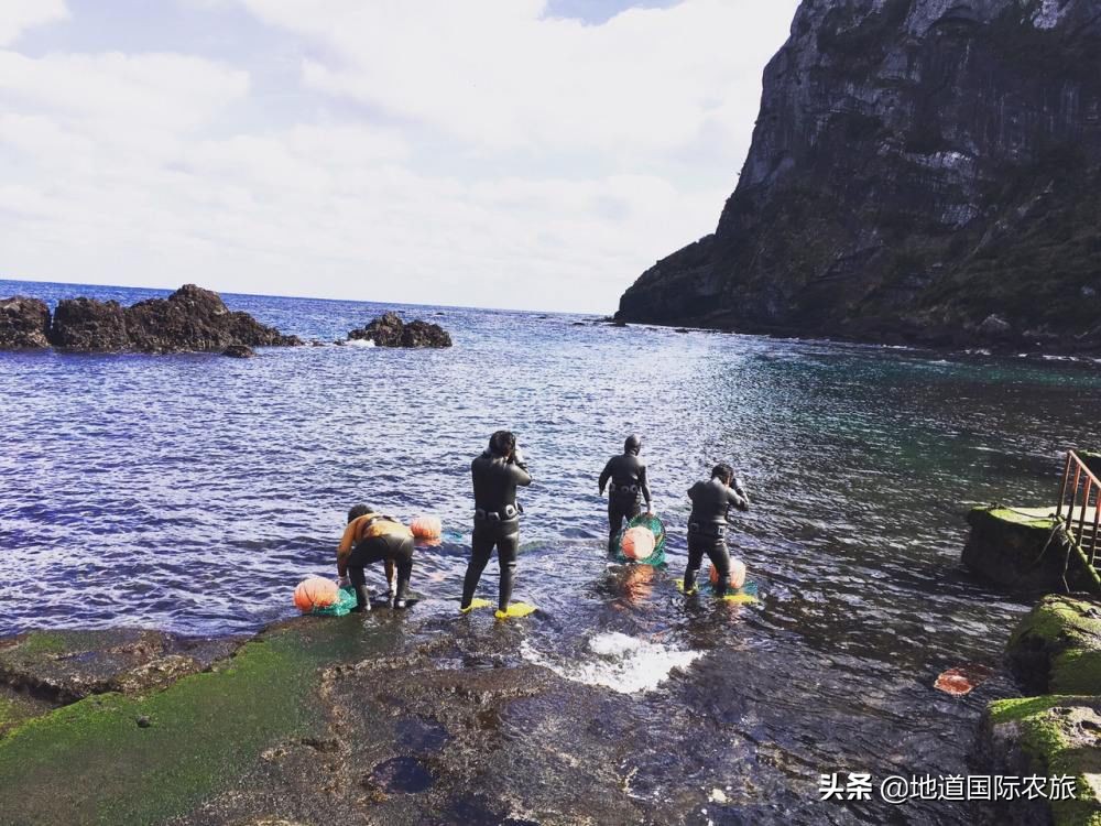 济州岛旅游胜地怎么开发,济州岛风光秀丽度假胜地