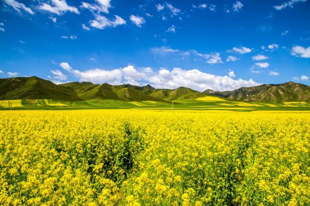 24节气春分是第几个节气,24节气春分知识大全