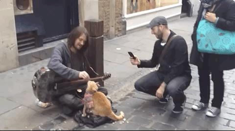 绁ㄦ埧榛戦┈鐩樼偣,绁ㄦ埧榛戦┈鍗囩骇鍥炲綊