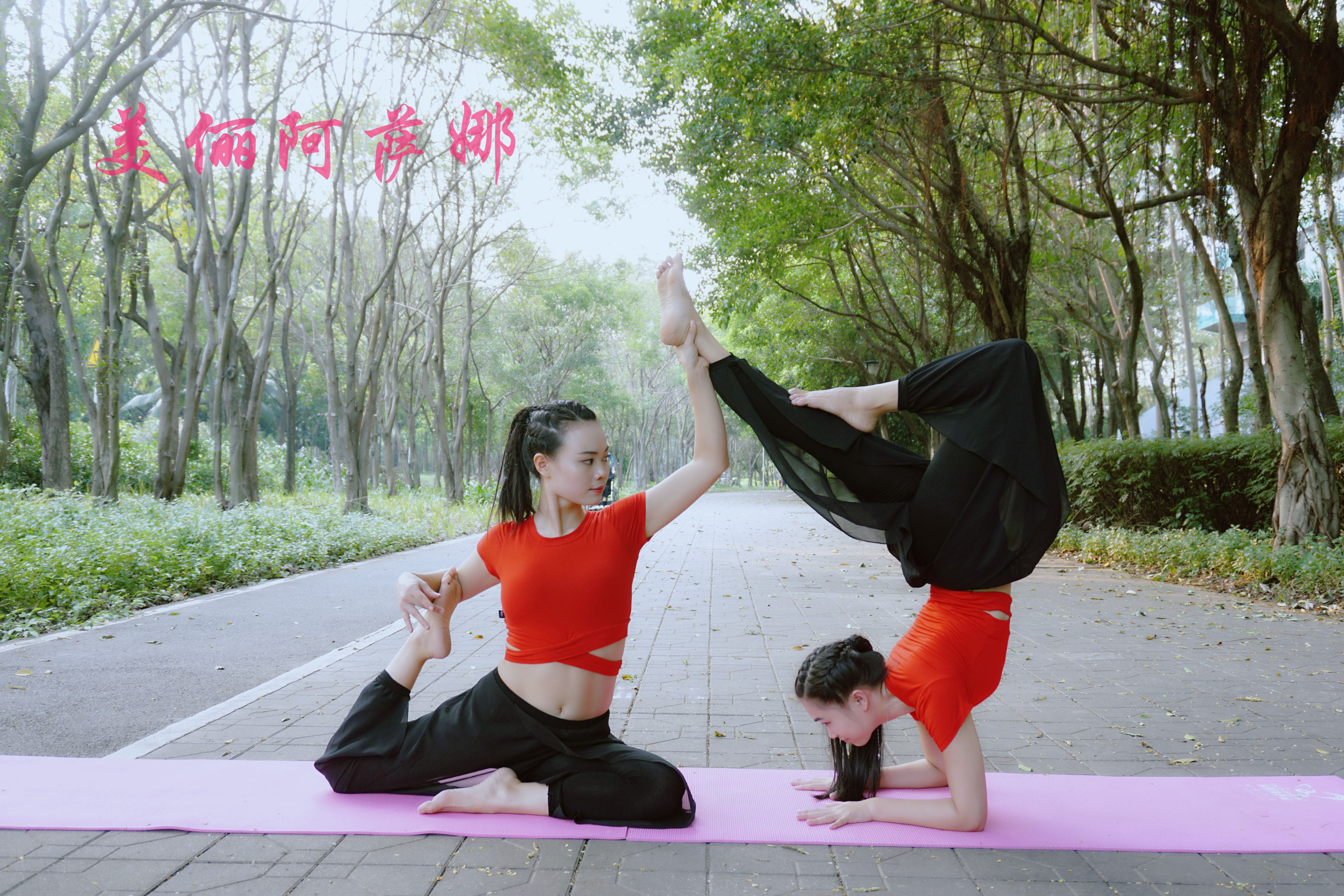 这个收获的秋天，我在美俪阿萨娜