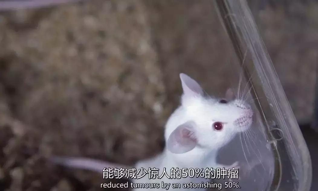 维生素抗癌成功案例,维生素与癌症的视频