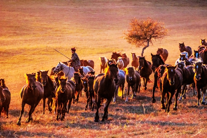 行摄美景,行摄塞外美景