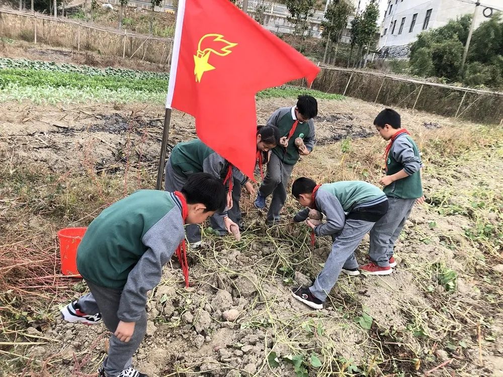 临安最好的小学是哪个,临安小学入学要求