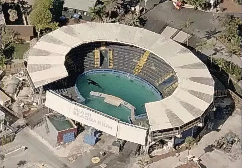 海洋馆的海洋动物表演,小孩子看的海洋动物视频