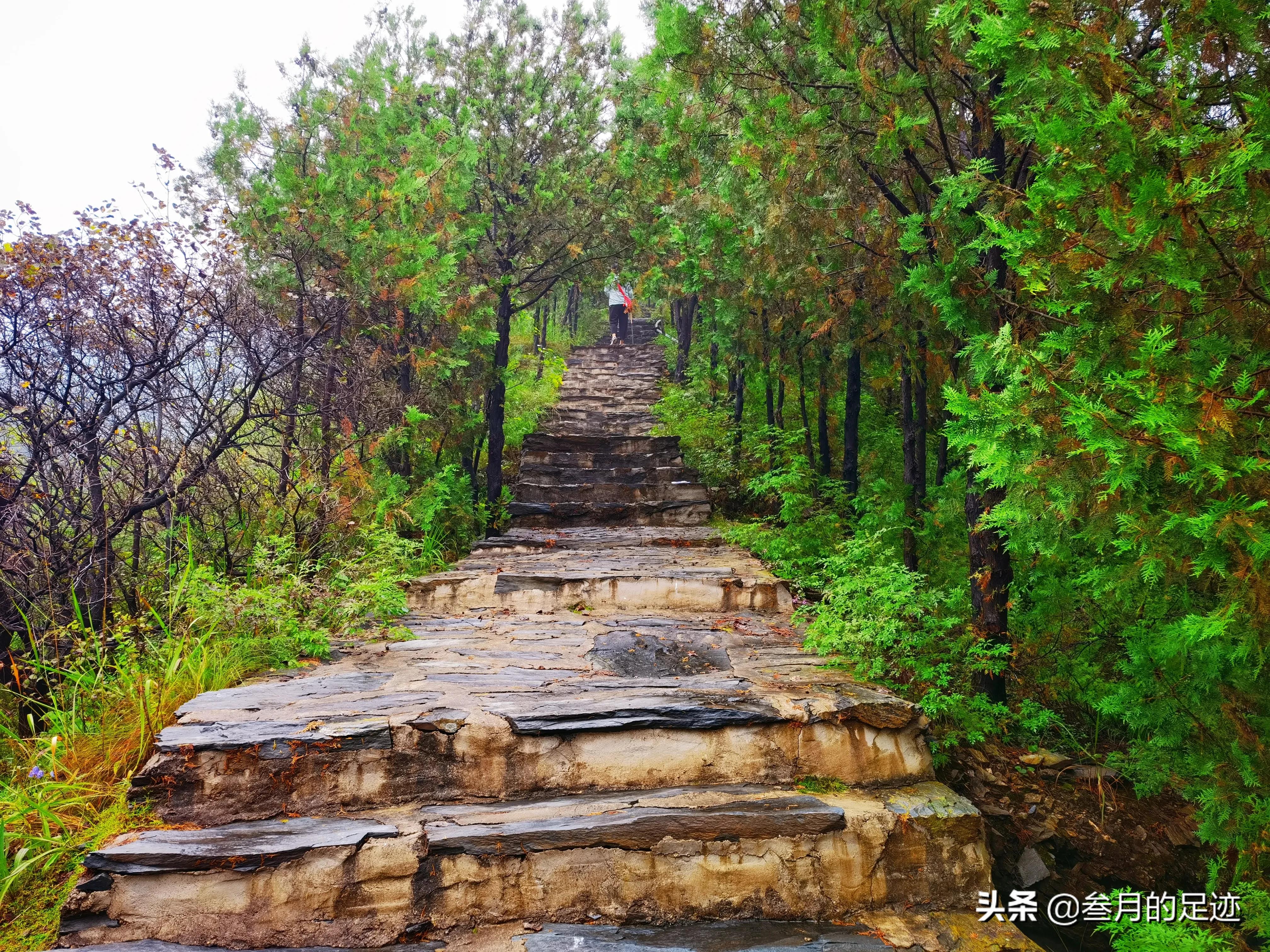 房山凤凰山登山步道攻略,北京房山凤凰山旅游攻略