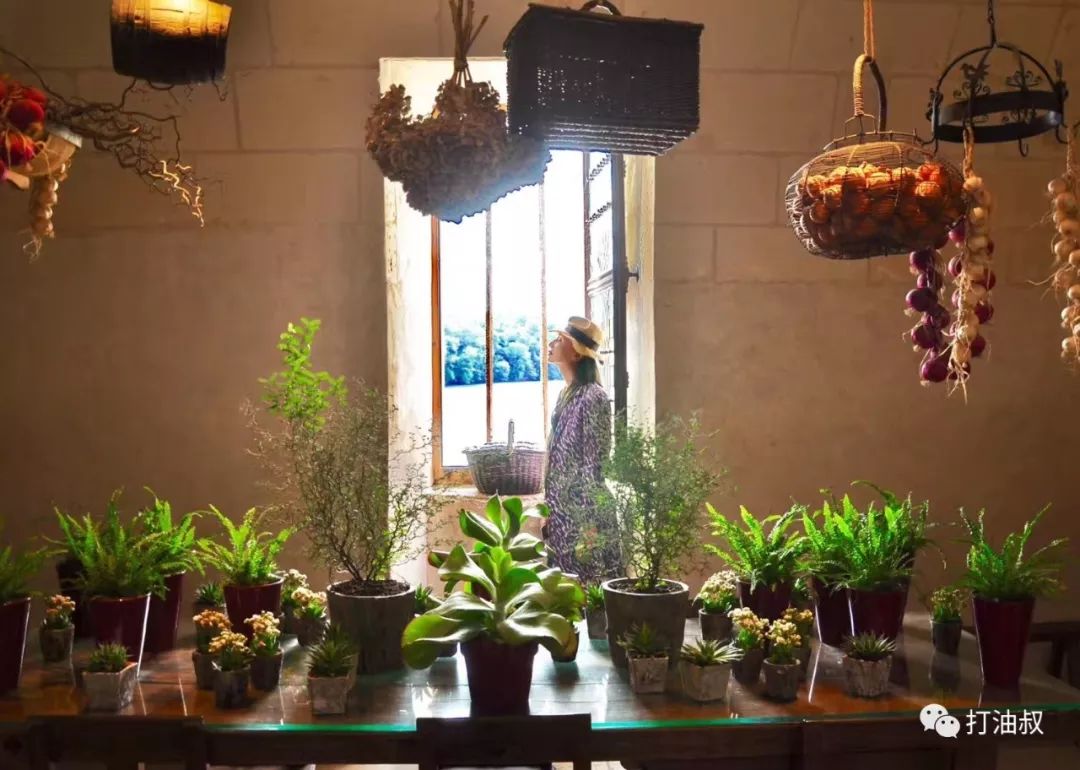 卢瓦尔河谷古堡之旅 (法国卢瓦尔河谷后花园)