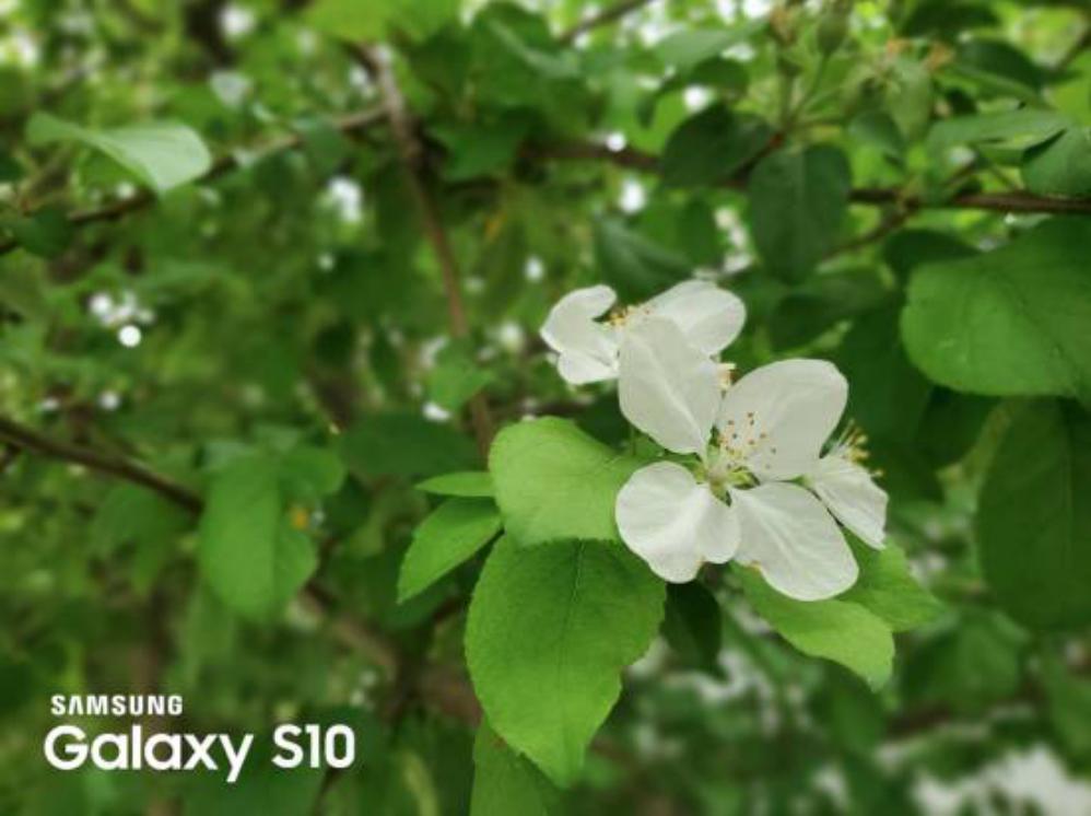 三星galaxys10性能测评,外媒三星galaxys10全系列上手体验