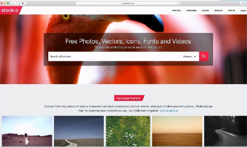 公认最好用的6个素材网站,有哪些免费高质量素材网站