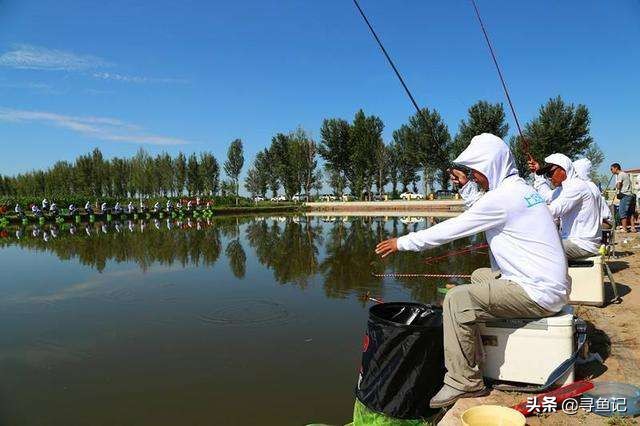 水库养殖鱼用什么饵钓,人工养殖鱼塘用什么饵料钓鲤鱼好