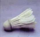 羽毛球为什么是16根羽毛,羽毛球一直是一样的握拍吗