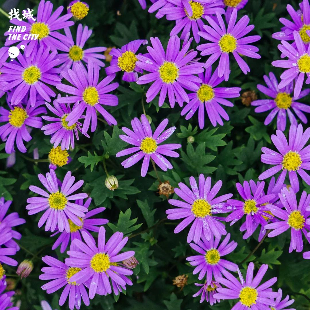 南宁拿货最便宜的市场,南宁最便宜的东西批发市场