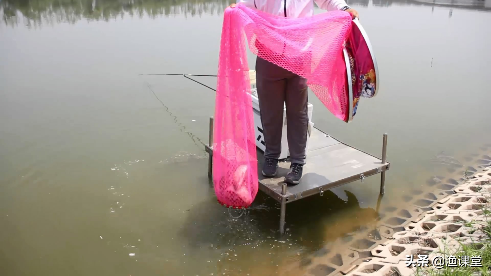 野钓大板鲫渔获,大蓝鲫饵料试钓效果