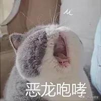 没想到散粉还可以这样用,拜托辣油散粉推荐