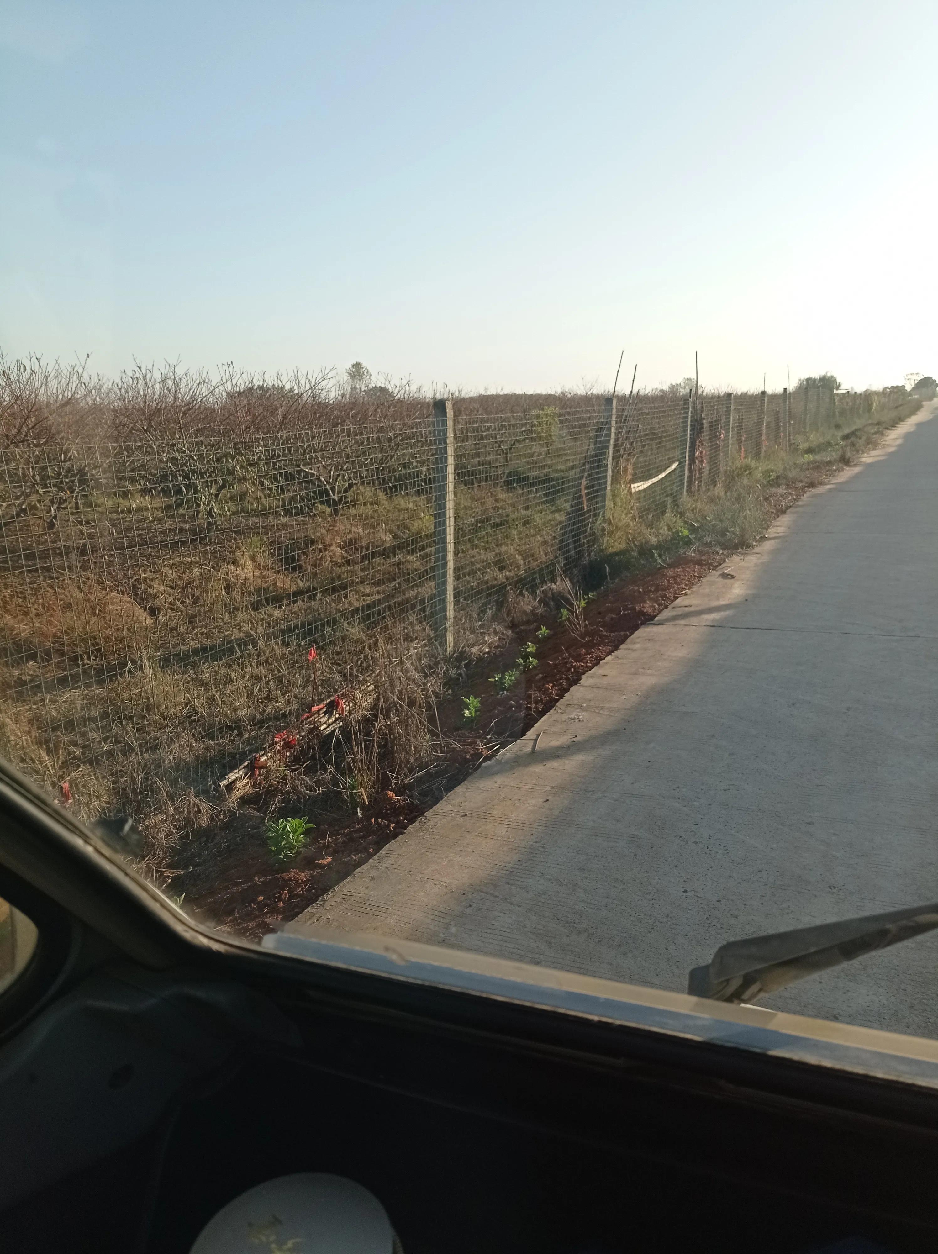 汉寿东仓湖生态水产,汉寿水产养殖基地